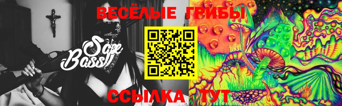 Избербаш  Галлюциногенные грибы Cubensis  Вход с VPN 