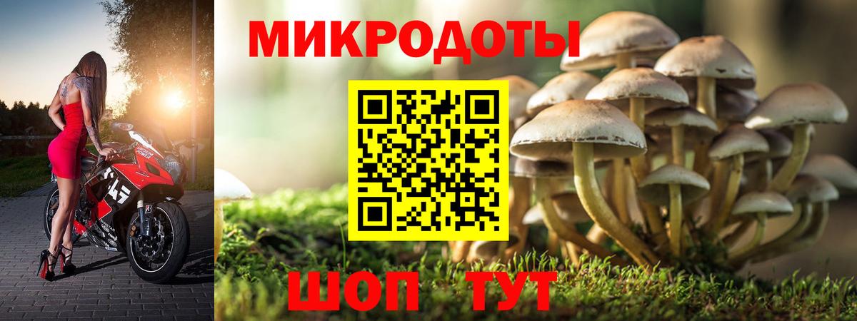 Галлюциногенные грибы MAGIC MUSHROOMS Избербаш